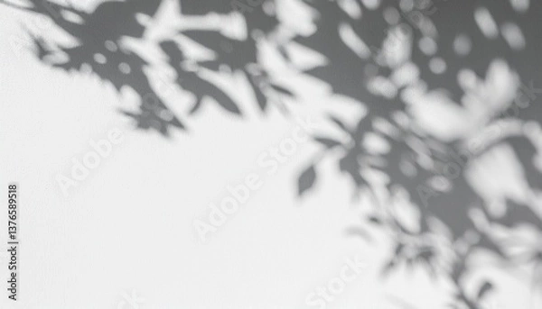 Fototapeta  high-resolution abstract image of soft natural tree leaves casting delicate shadows on a white wall background. The organic shapes create a calming, minimalist aesthetic with subtle variations in lig