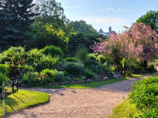 Fototapeta a path in the park along the flowering trees. spring landscape in the botanical garden