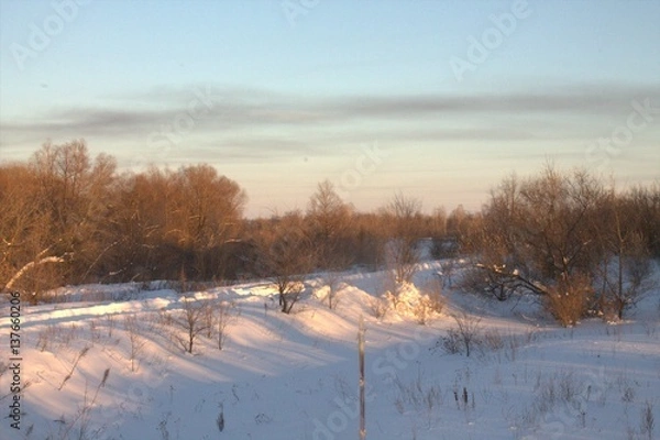 Obraz лесной путь 