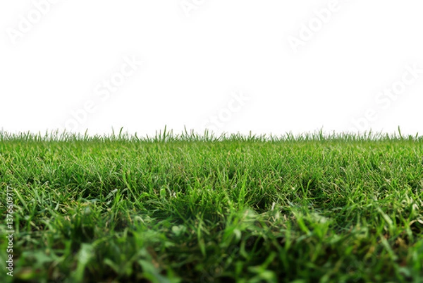 Fototapeta A ground level view of a field of green grass against a clear sky transparent background