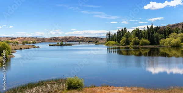 Fototapeta Flat Top Hill Conservation Area, one of most threatened ecosystems  in New Zealand