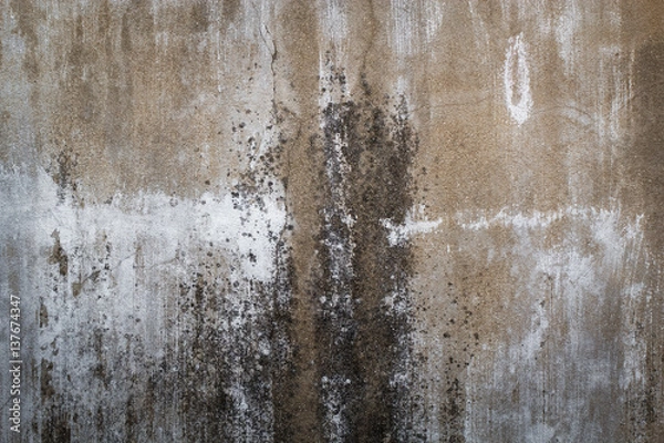 Obraz Old concrete wall