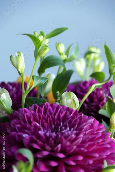 Obraz lilac dahlias with yellow roses in a bouquet on a light background close-up. bouquet of dahlias and roses