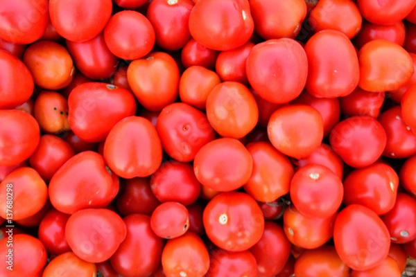 Obraz Tomatoes in crate