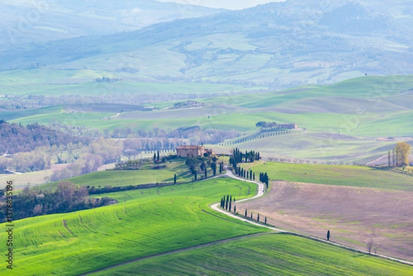 Fototapeta Tuscan landscape with rolling hills, cypress trees, and a farmhouse on a hilltop