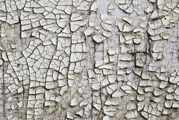 Obraz Old paint in cracks on a wooden surface.