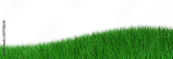 Obraz 3d ilustracja zielona trawa
