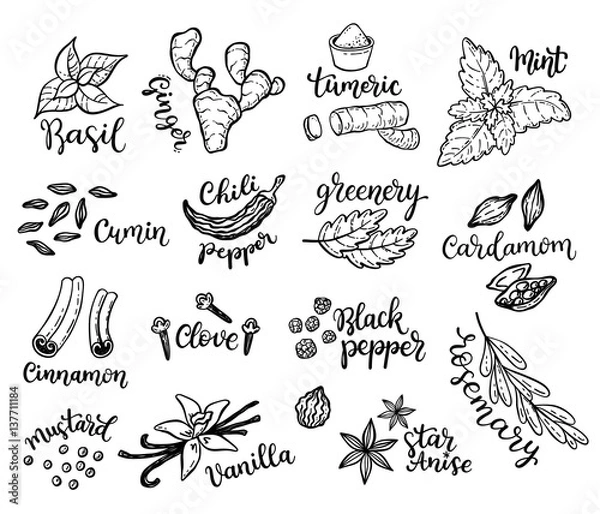 Fototapeta Zestaw przypraw wyciągnąć rękę.