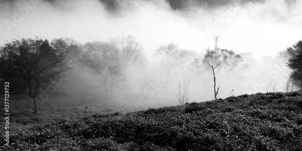 Obraz 山梨県甲州市　秋の大菩薩嶺