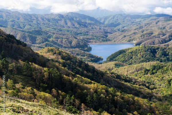 Obraz 山梨県甲州市　秋の大菩薩嶺
