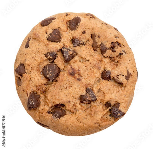 Obraz Chocolate chip cookie