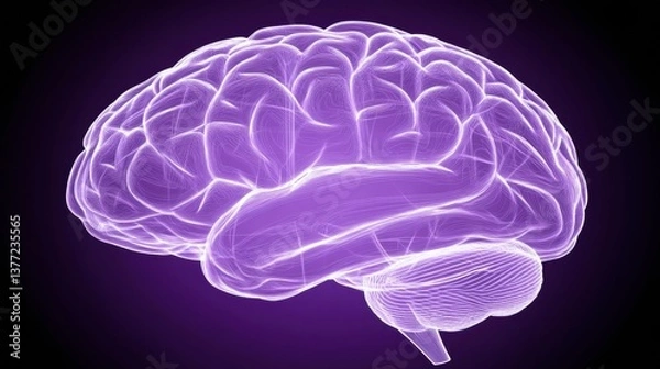 Obraz Glowing Purple Human Brain Digital Rendering