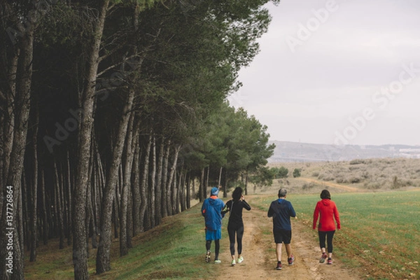 Fototapeta A group of athletes running in the forest.