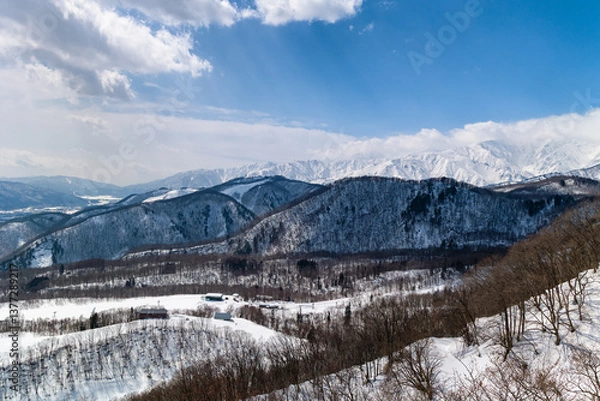 Obraz Snow covered mountain and forest alpine scenery on a sunny day. Hakuba, Nagano