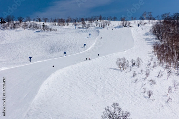 Obraz Snowboarders descending a wide, steep ski slope on bright sunny day