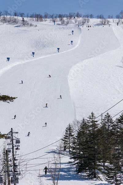 Obraz Snowboarders descending a groomed, wide ski slope from a mountain top on sunny day. Tsugaike, Hakuba