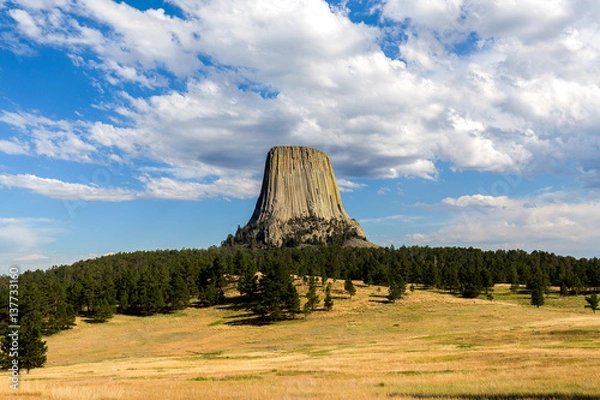 Obraz Devils Tower, Wyoming on a summer day.