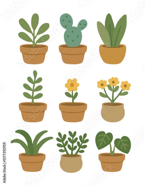 Obraz plant in pots