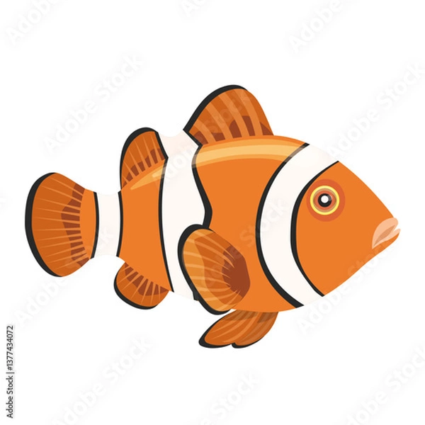 Obraz A clown fish isolated on a white background.Vector illustration of beautiful marine fish.