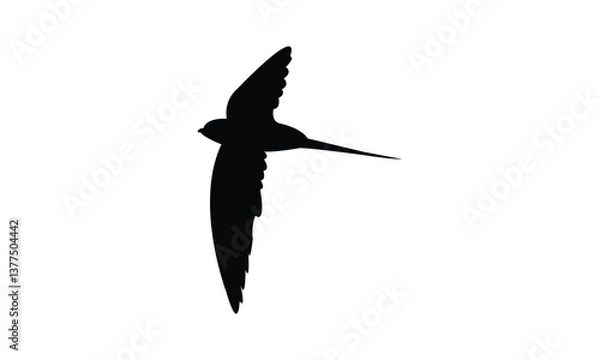 Obraz Flying African palm swift bird Silhouette Design  And Vector Illustration. 