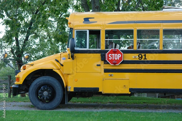 Obraz school bus...
