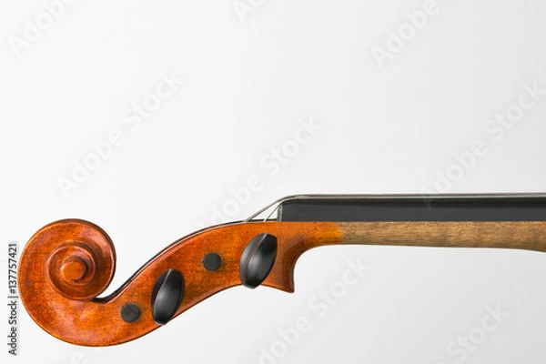Obraz Violin neck shot closeup