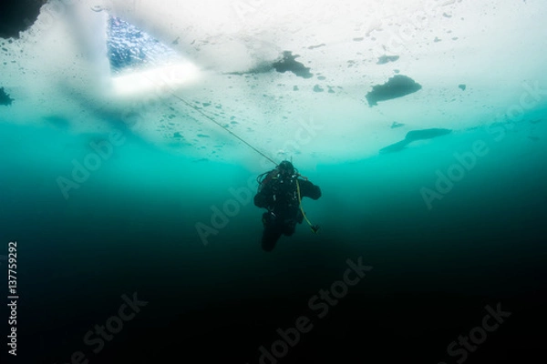 Obraz Płetwonurek pod lodem