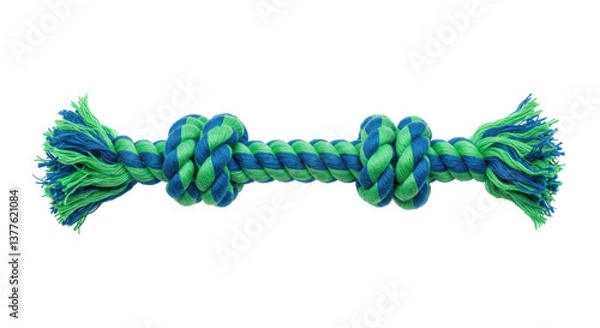 Obraz Isolated Dog Toy