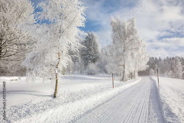 Obraz Winter Landschaft