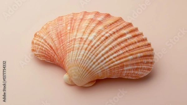 Obraz Seashell displaying textures and colors against a soft background  