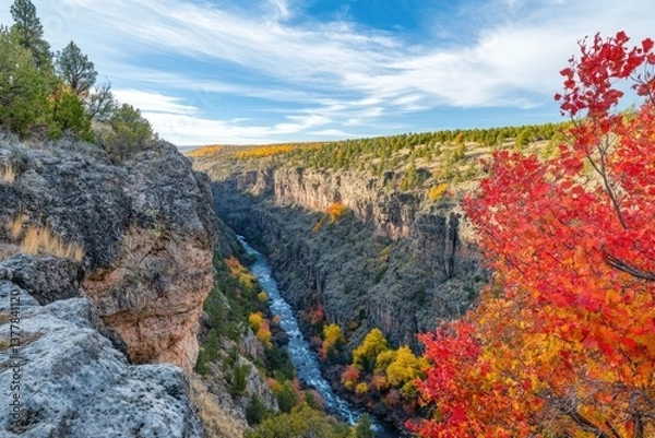 Obraz Autumn Canyon Views