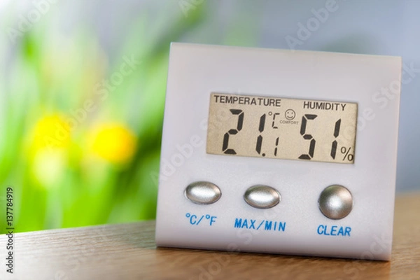 Obraz Electronic hygrometer and thermometer