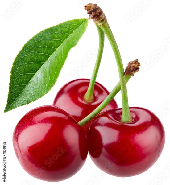 Fototapeta Cherry isolated png. Sour cherry with leaf on white or transparent background. Perfect retouched three cherries with leaves no background. Png cherry. Full depth of field.