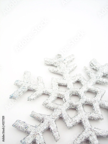 Obraz silver snowflake 3