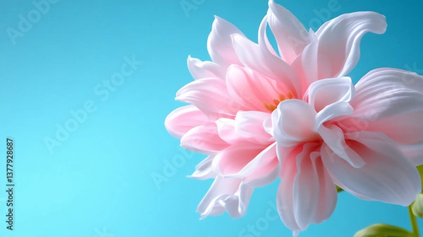 Fototapeta an abstract image of soft pink and white petals swirling in a gentle breez
