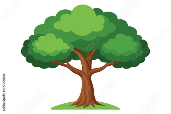 Obraz green tree isolated on white