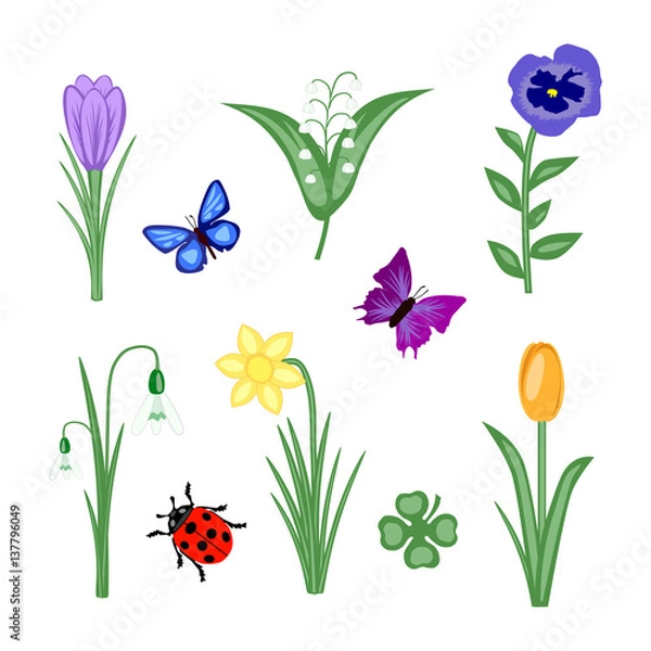 Obraz Frühling Blumen Set