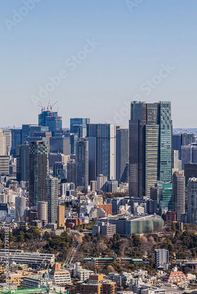 Fototapeta 渋谷スカイ