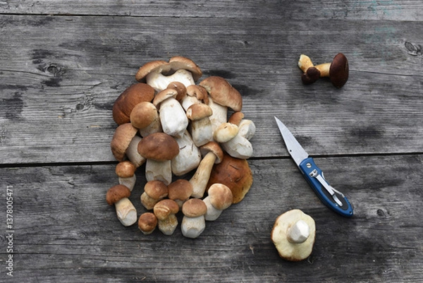 Fototapeta Porcini mushrooms lie in a heap on a wooden table, view from above. Picked mushrooms (Boletus edulis).