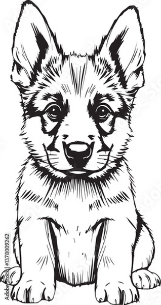 Fototapeta German Shepherd puppy. Hand drawn vector illustration