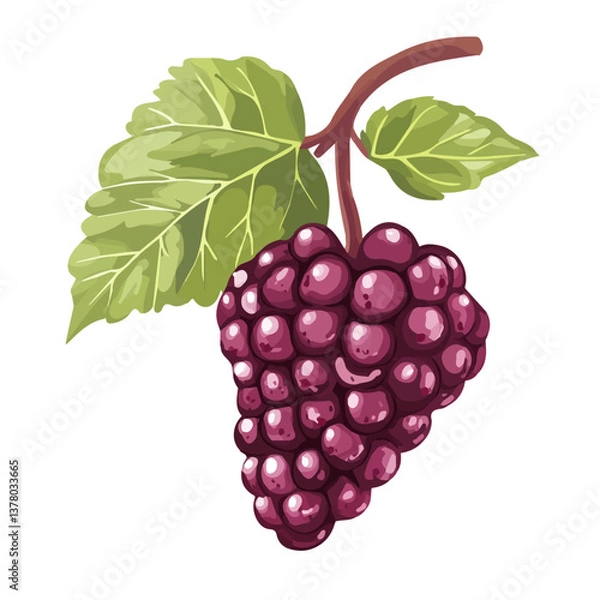 Fototapeta Flat vector mulberry, minimalist design, isolated on a white background.

