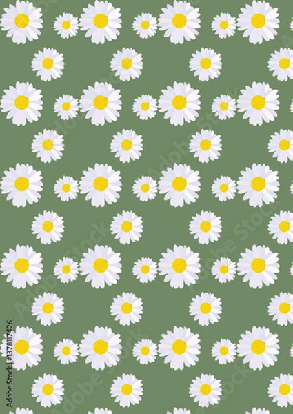 Obraz Daisies Illustration pattern