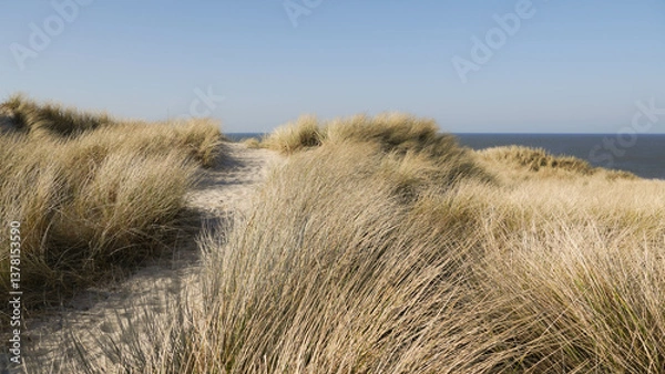 Fototapeta Dühne in Dänemark