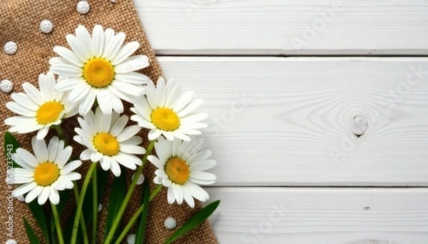 Fototapeta Row of white daisies on a burlap tablecloth with polka dot accents and whitewashed wooden planks surrounding it, floral arrangement, white flowers