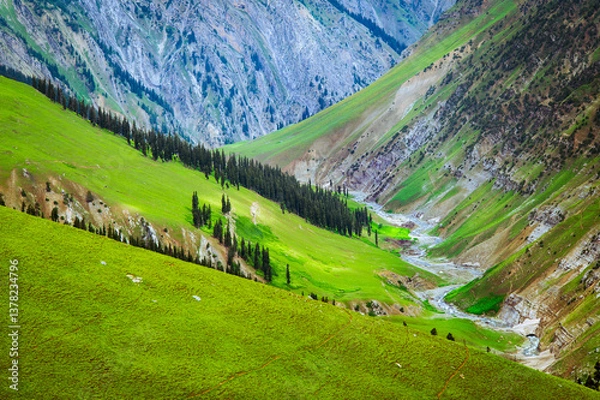 Obraz Mountain landscape. Panoramic view from the top of Sonmarg, Kashmir valley in the Himalayan region. Serene meadows, alpine trees, wildflowers on the trails of the Great Lakes of Kashmir Trek, 2022 