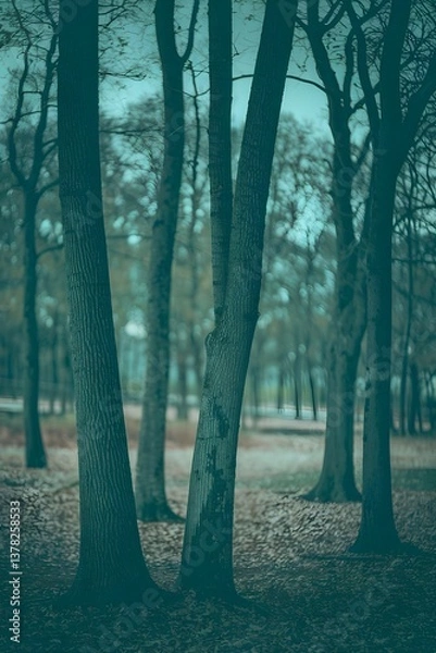 Fototapeta A minimalist photo of a forest with a few trees. 