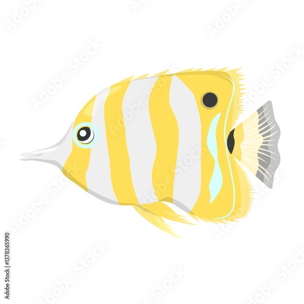 Obraz Butterfly fish isolated on a white background.Vector illustration.
