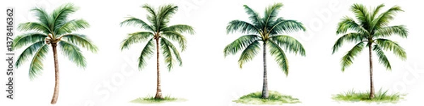 Fototapeta Watercolor Coconut Palm Tree on Transparent Background