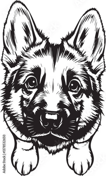 Fototapeta German Shepherd puppy. Hand drawn vector illustration