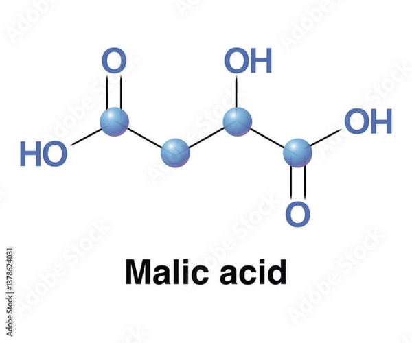 Obraz Malic Acid Dicarboxylic Acid Made By All Living Organisms. Vector Illustration Organic Compound With The Molecular Formula C4H6O5